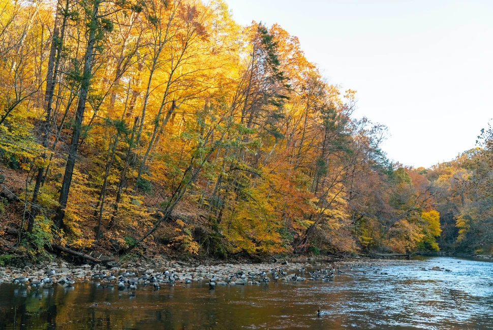 Discovering Philipsburg, PA: An Introduction to the City and its Weather