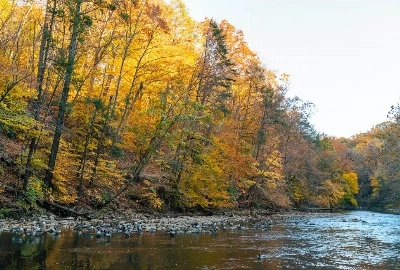 Discovering Philipsburg, PA: An Introduction to the City and its Weather